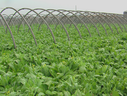 食堂承包-种植基地7丨食堂承包公司