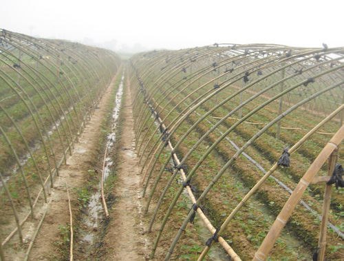 食堂承包-种植基地6丨食堂承包公司