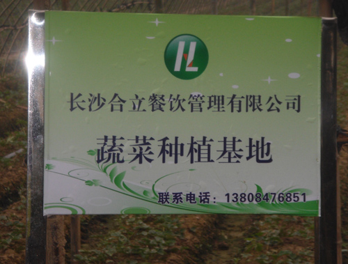 食堂承包-种植基地5