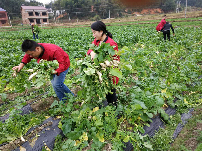 种植基地丨食堂承包公司