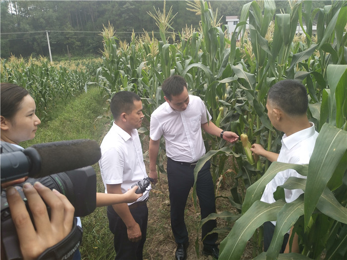 种植基地丨食堂承包公司